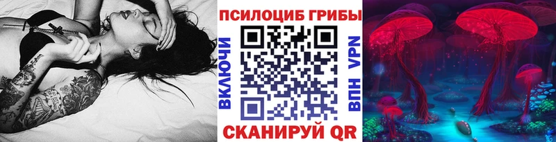 Галлюциногенные грибы мицелий  цены наркотик  Северобайкальск 